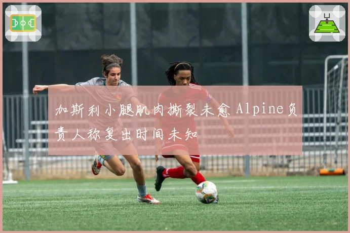 加斯利小腿肌肉撕裂未愈 Alpine负责人称复出时间未知